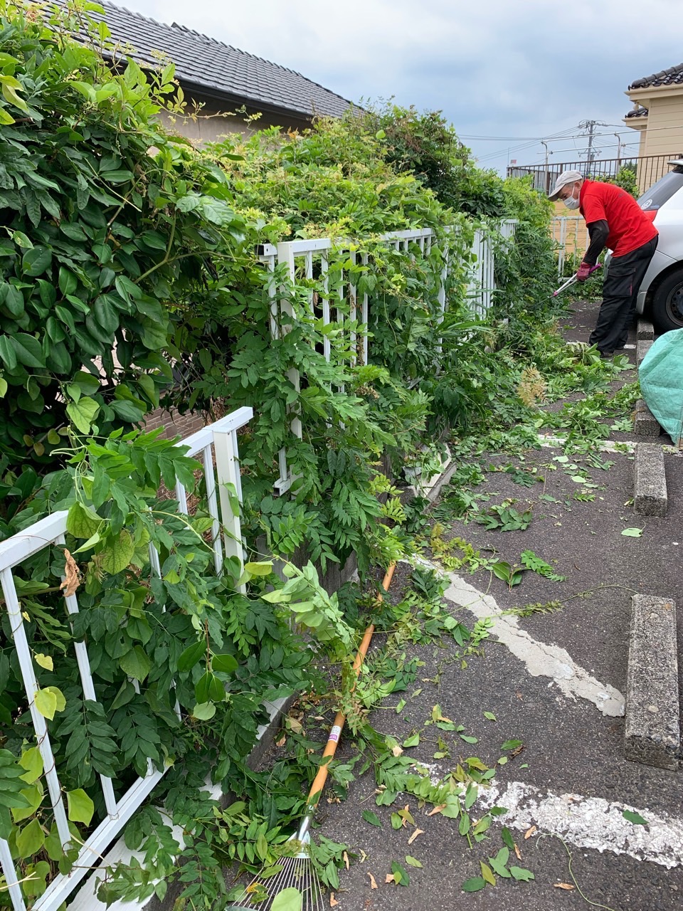慣れた手つきの草刈り横さん